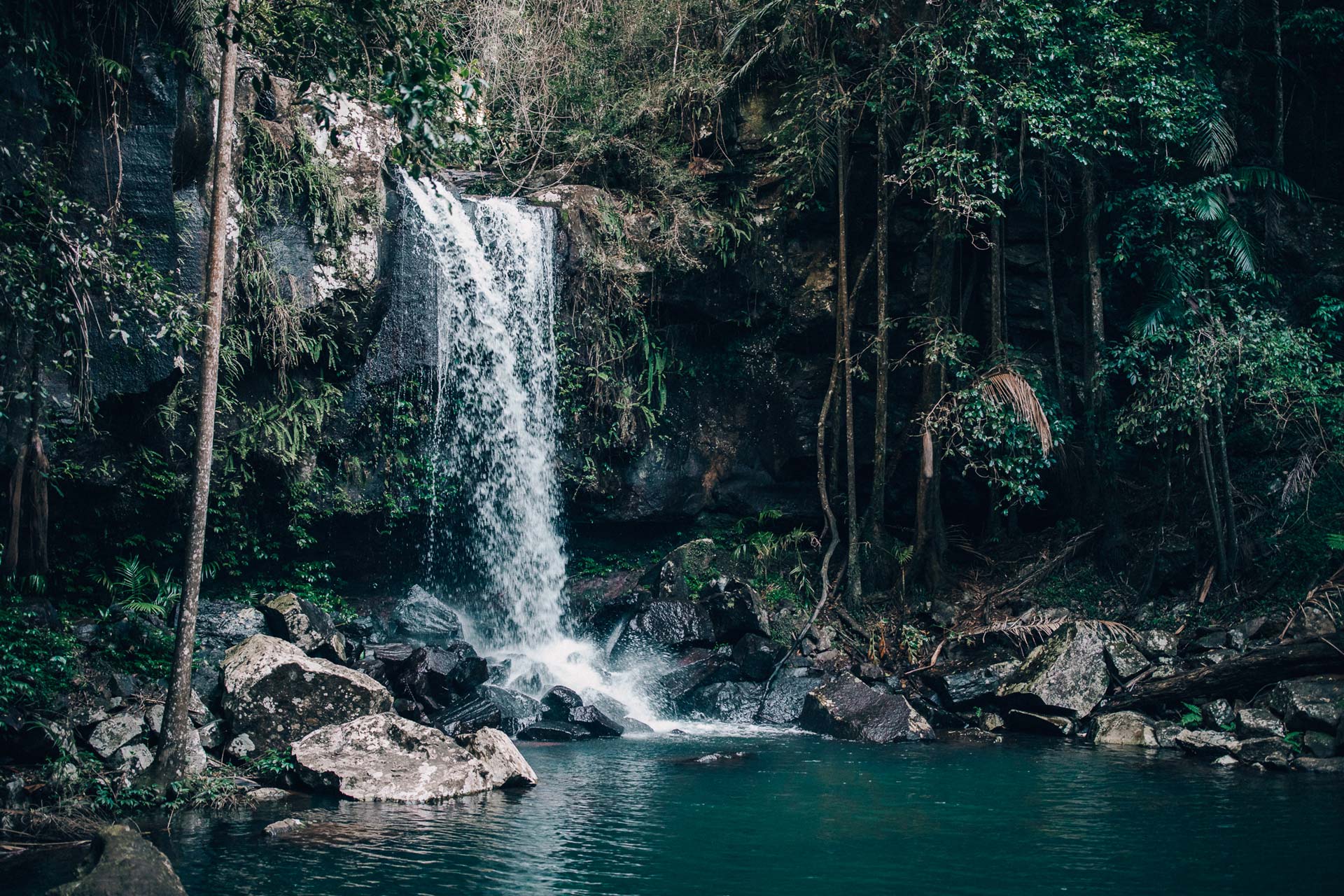 Byron bay hinterlands waterfall