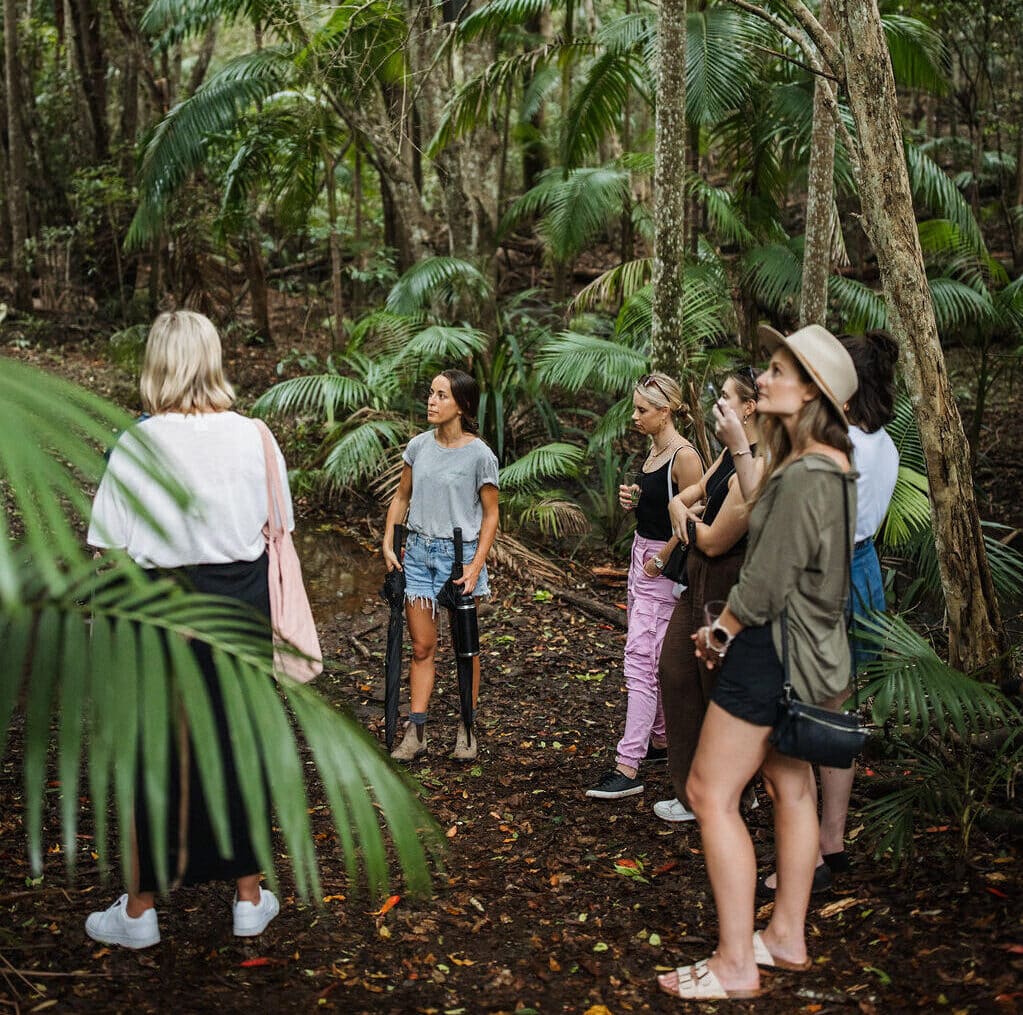 Brisbane Private Tours Kiff Culture
