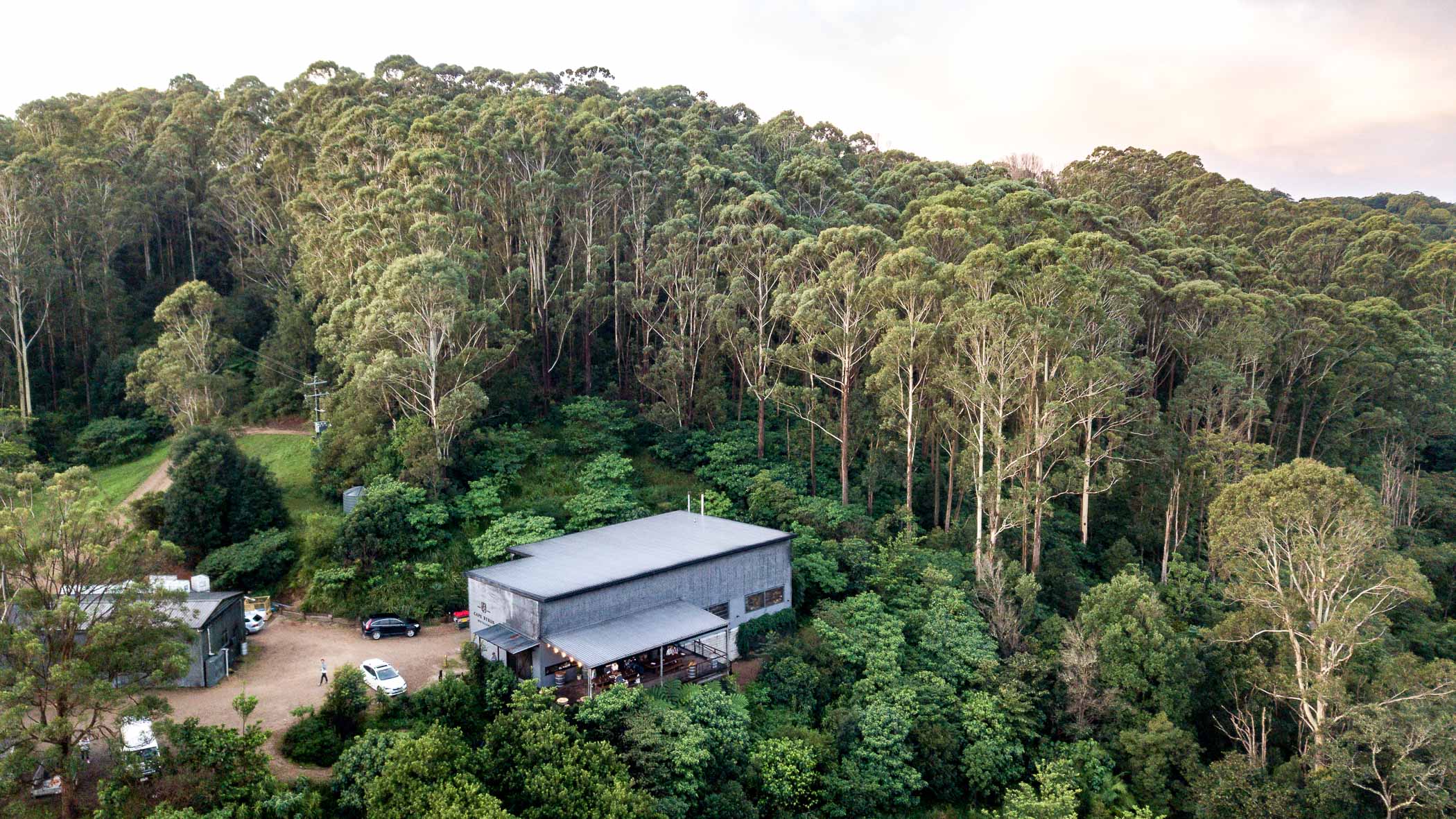 Cape Byron Distillery rainforest
