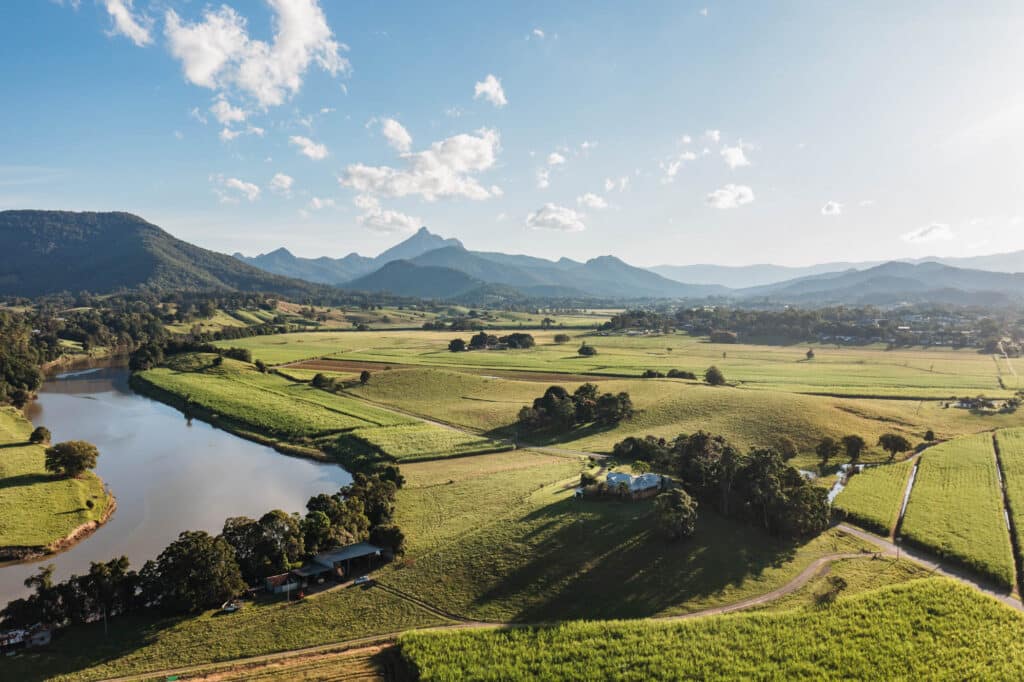 hinterland food & drink tour Northern NSW