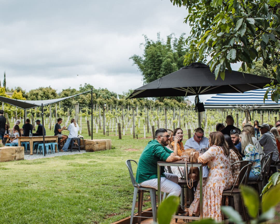 corporate incentive day at Tamborine Mountain