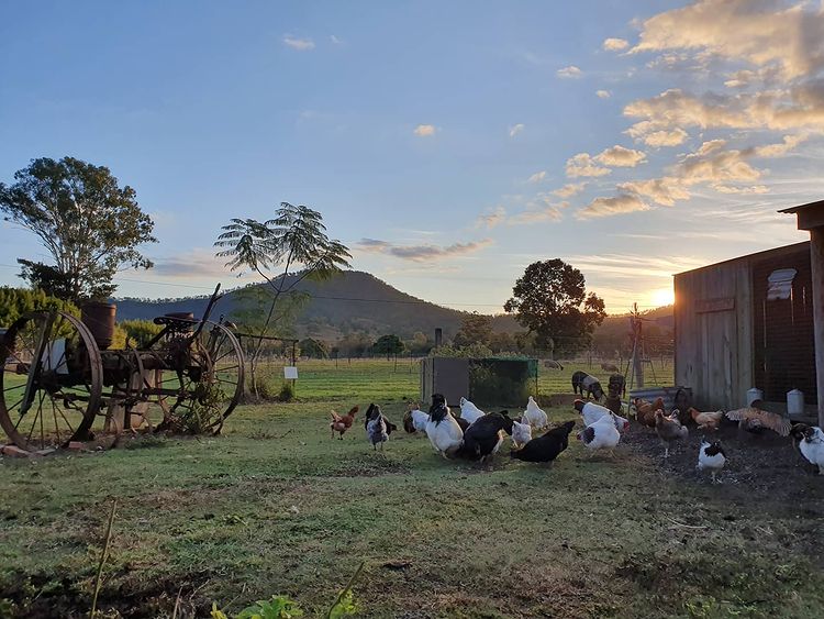 5 Incredible Farm Stays in the Scenic Rim Kiff & Culture