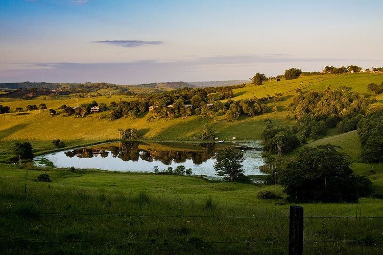 Cape Byron Farm