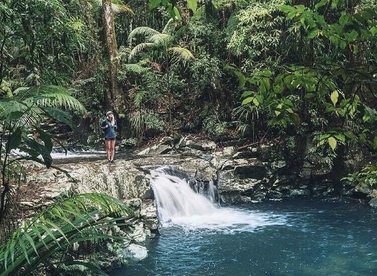 Minyon Falls near Bangalow