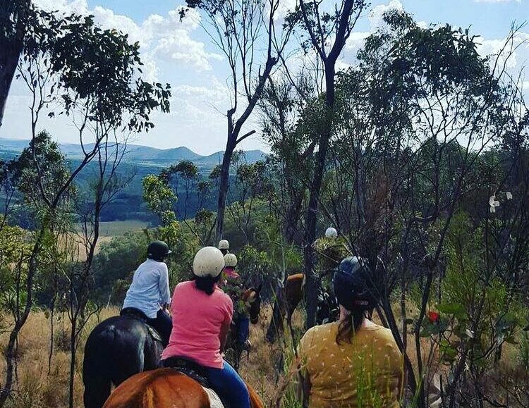 Scenic Rim farm stay