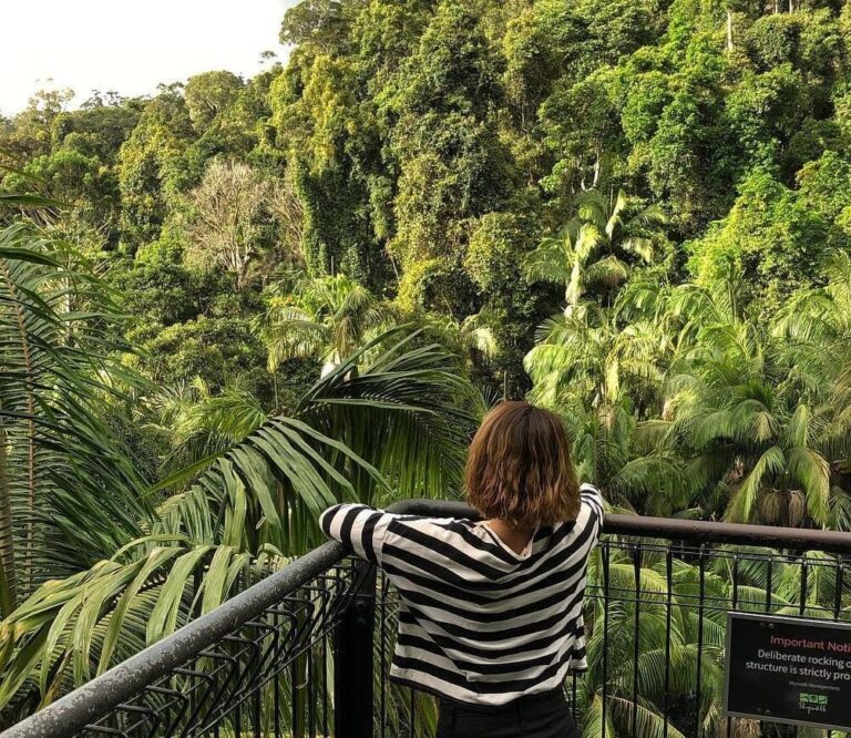 Girls' Weekend A Guide to a Perfect Tamborine Mountain Getaway