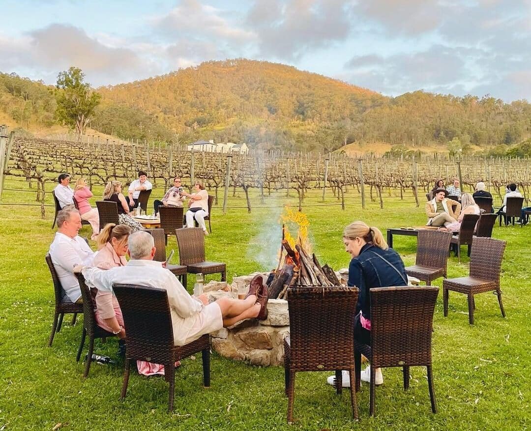 7 Best Wineries near The Gold Coast to Visit this Summer