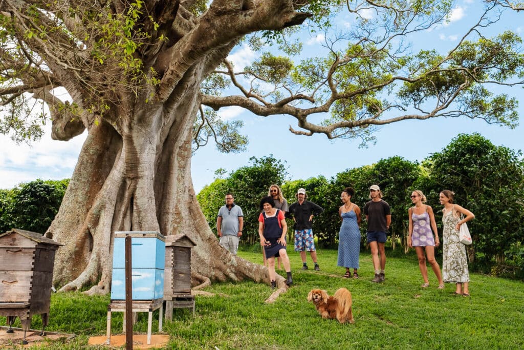 coffee tasting experience Byron Bay