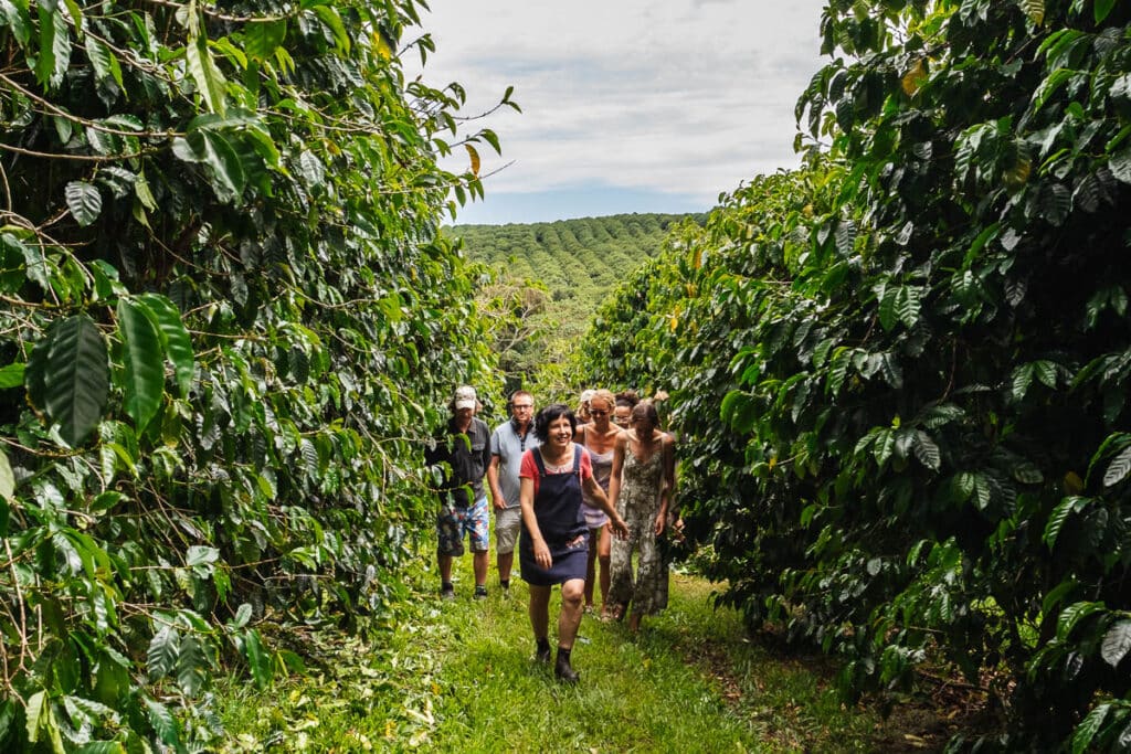 coffee farms Australia