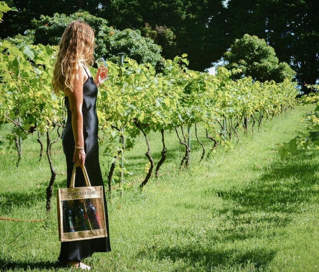 Mt Tamborine vineyard