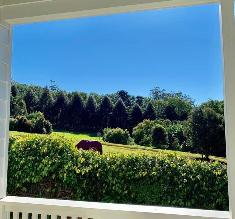 Find Your Perfect Tamborine Mountain Retreat in 2023