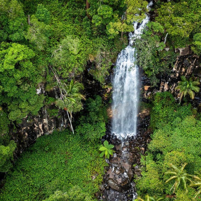 1-CameronFalls-at-Tamborine-Mountain-Photo-Lachlan-Gardiner-2021-1380x778
