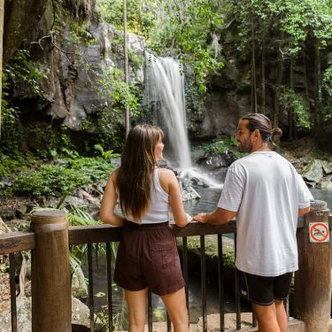 Walking circuit through the rainforest to the waterfall lookout platform