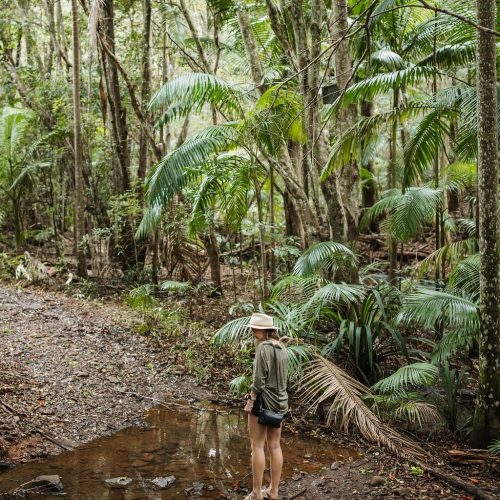 brisbane holiday package near Byron