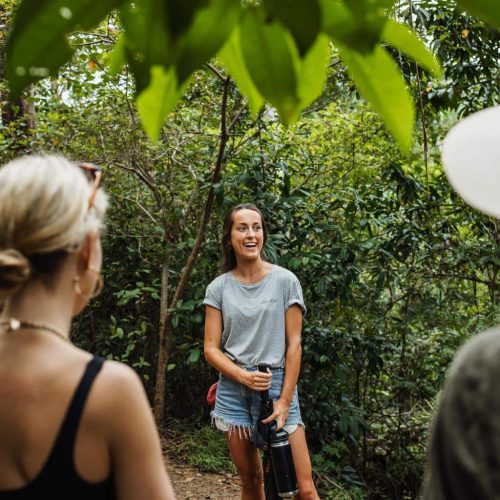 public tour cape byron