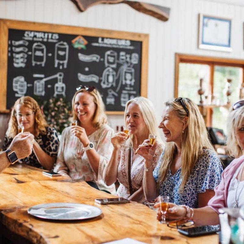 private tamborine mountain tours gin tasting