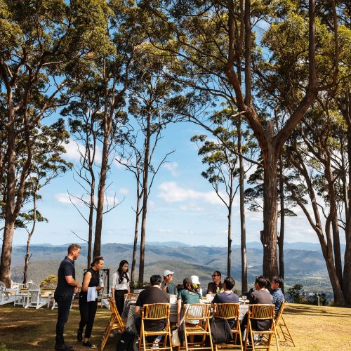 FiretoForkVHCE-35 (1)