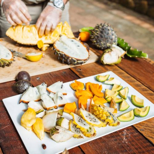 brisbane holiday package in the tweed valley
