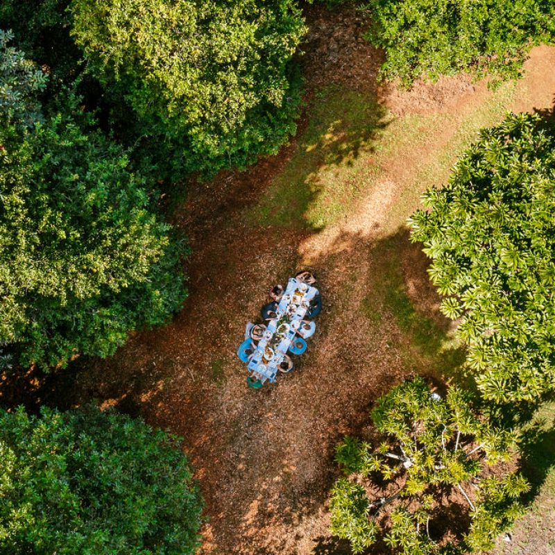 LongLunchintheOrchards-47