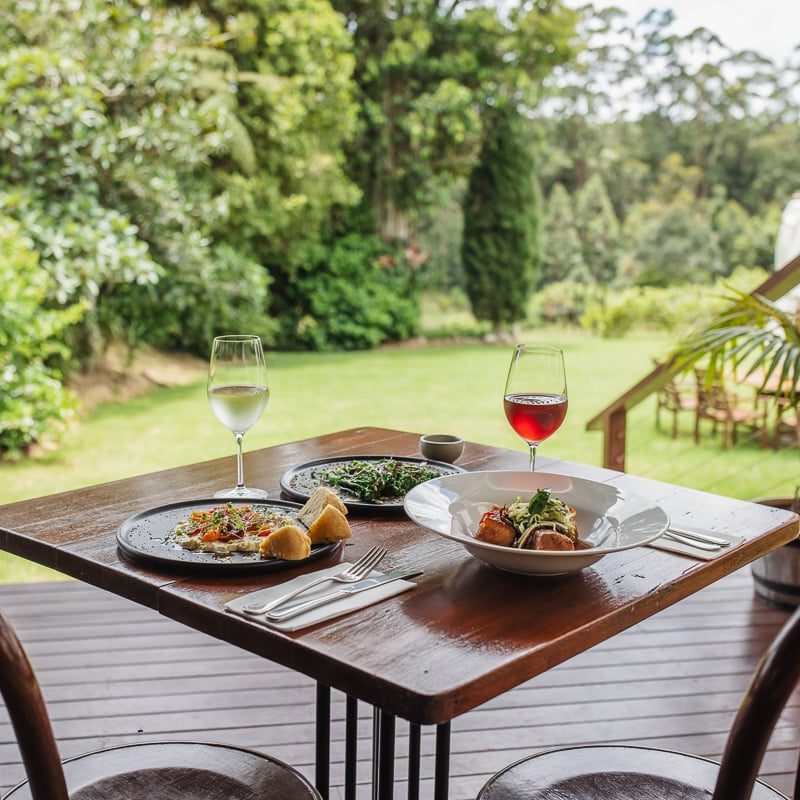 mt tamborine wine tour