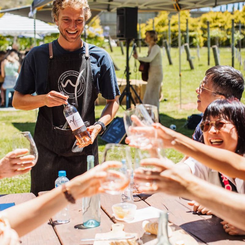 mt tamborine wine tour