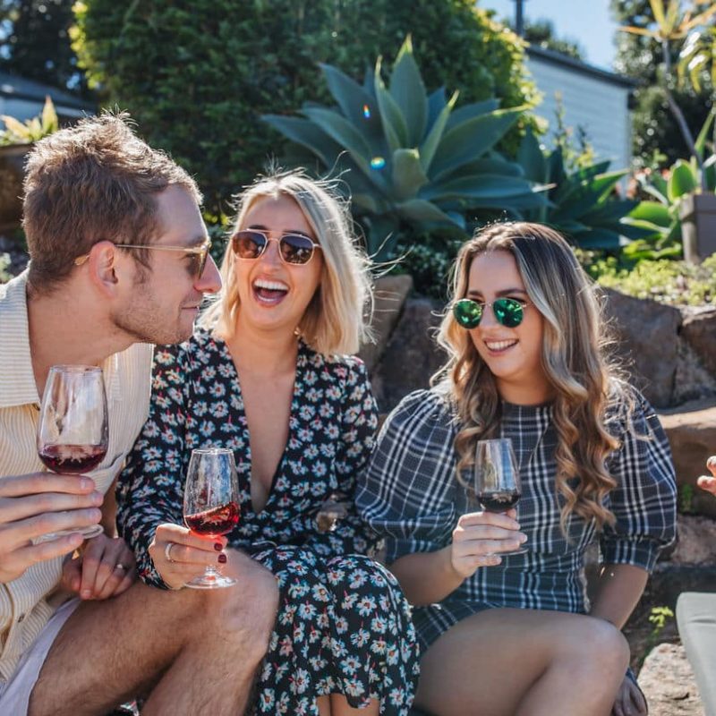 mt tamborine wine tour