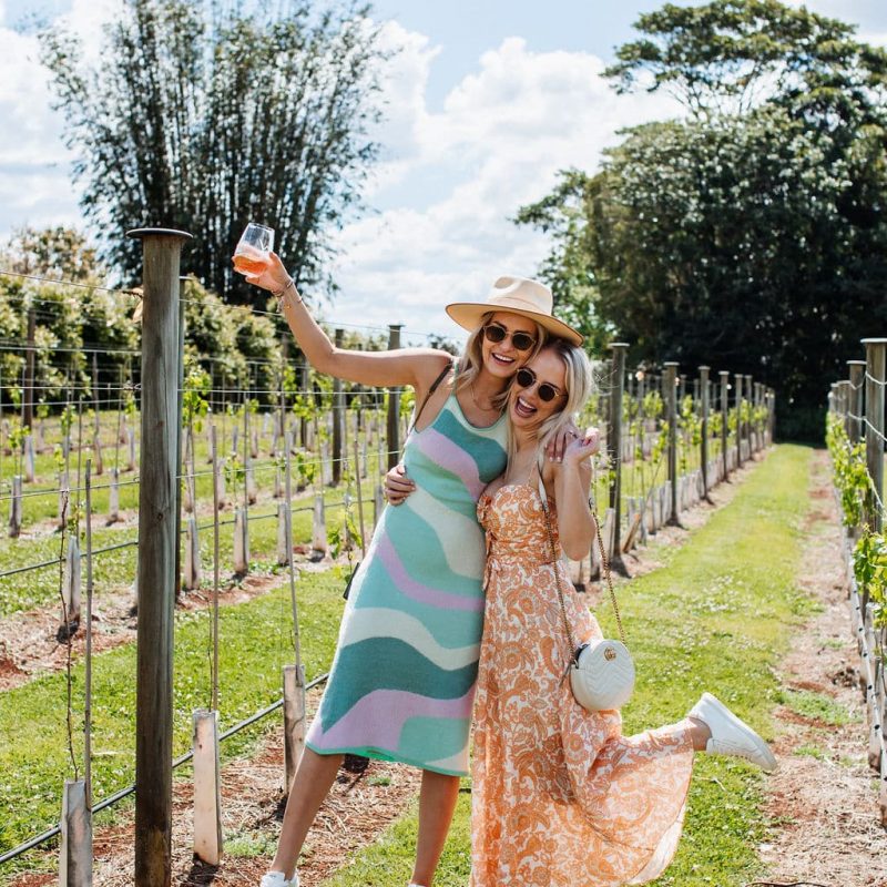 private tamborine mountain tours