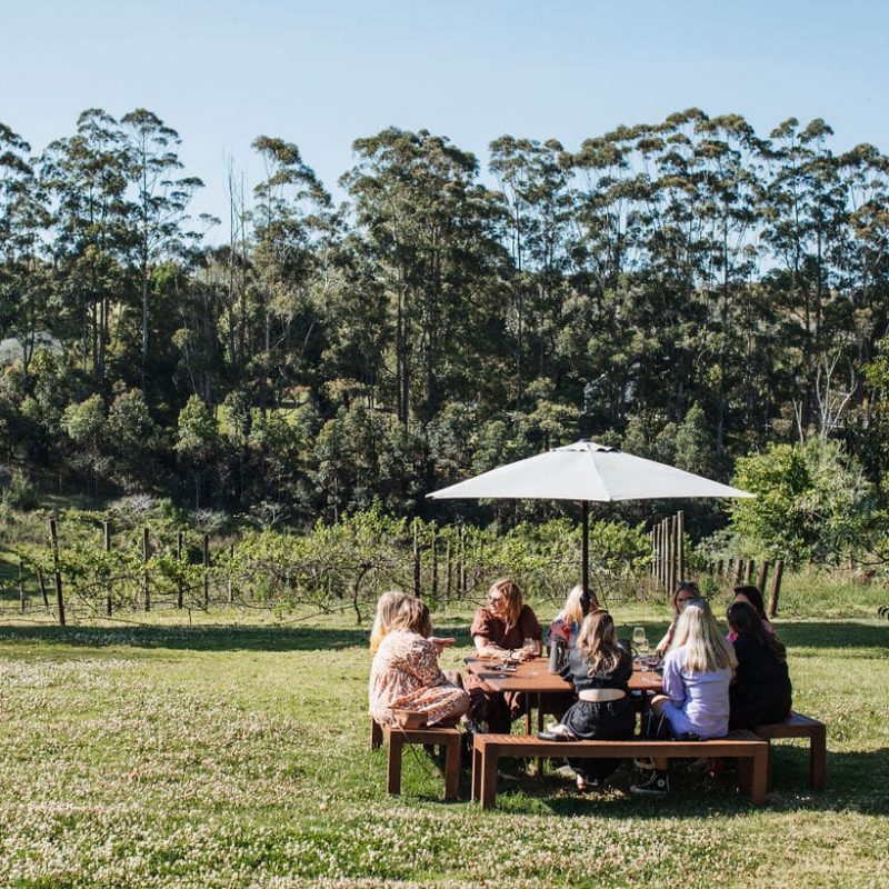 mt tamborine wine tour