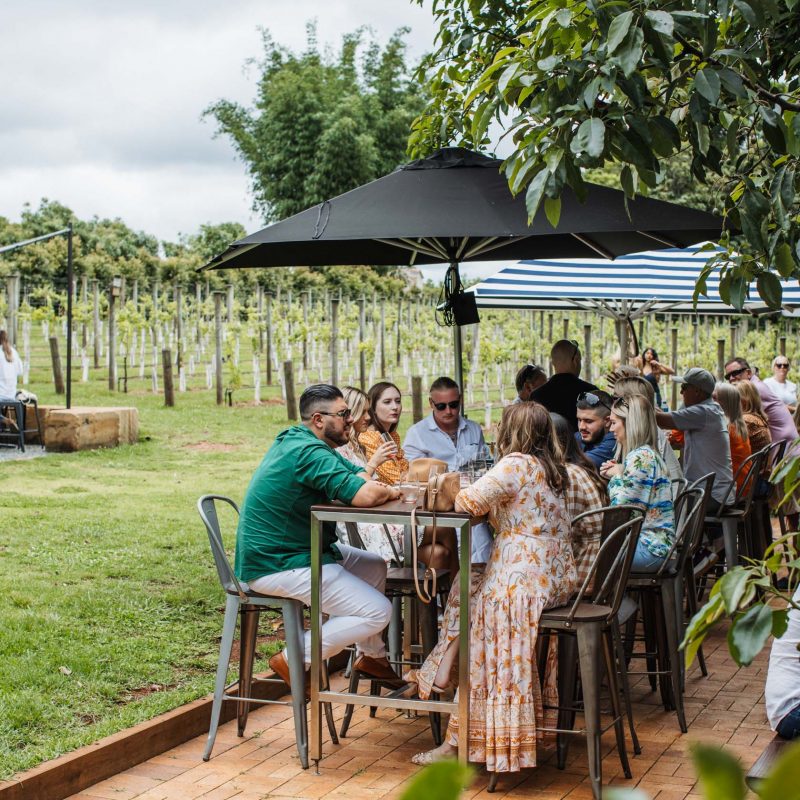mt tamborine wine tour