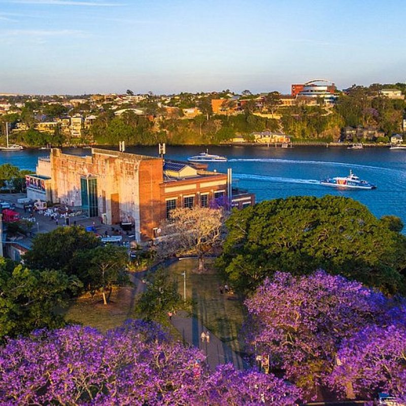 image-by-falcon-view